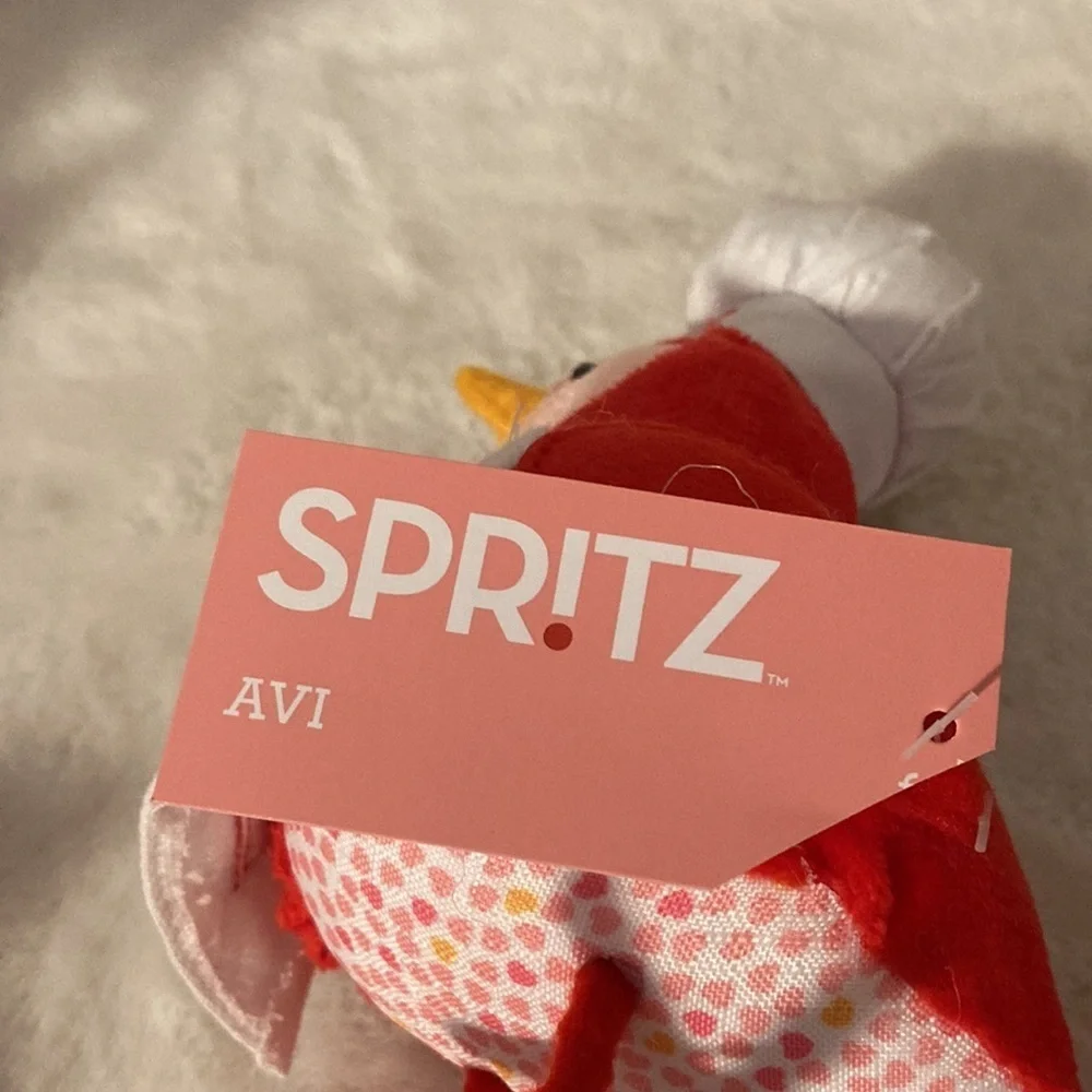 Target 2023 Spritz Featherly Friends Valentine’s Day Birds